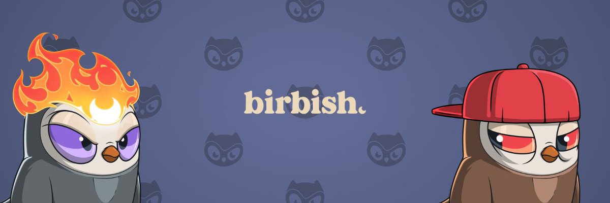 saphenal_'s tweet image. Gbirb 
I’ll add another $birb 🦉

Thank you @_JKNFT_ for this banner