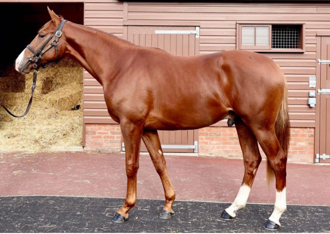 gerard lowry tweet media