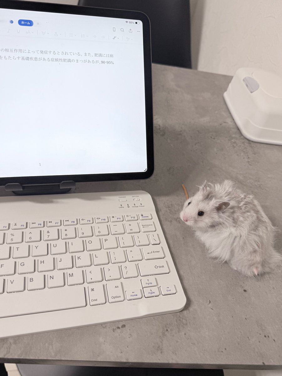 マウスかと思ったらマウスだった