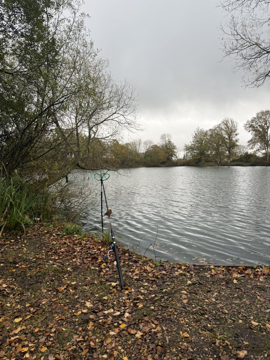 Jordan567130579's tweet photo. Last week a 40lb carp and this week trying for a 3lb roach 
#fishing https://t.co/W394vRCE8d