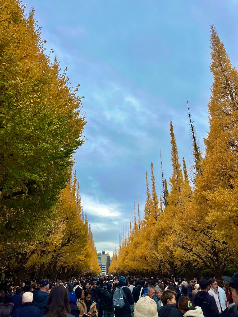 sou_design2409's tweet image. 外苑前のイチョウ並木を見に行って、小田急線のスタンプラリーをしながら、家族でたくさん歩いた一日🚶🚈

妻と息子がお揃いのスニーカーを買っていたことを知り、自分だけ仲間外れにされていて、今後の家庭内での立ち位置の危うさを感じました😇

夜は作業頑張ります🙌

#Webデザイン
#Studio制作…