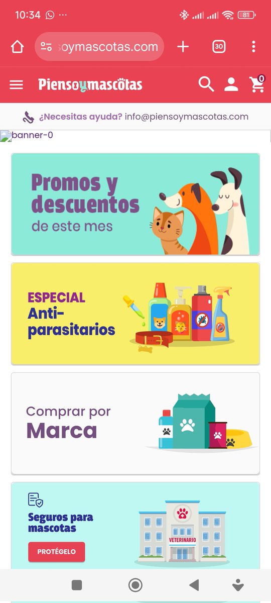 ToniLobll's tweet photo. No compréis en @piensoymascotas es un timo, se quedan tu dinero y no envían nada, y por mucho que les reclames pasan de todo https://t.co/3PJAB51JGo