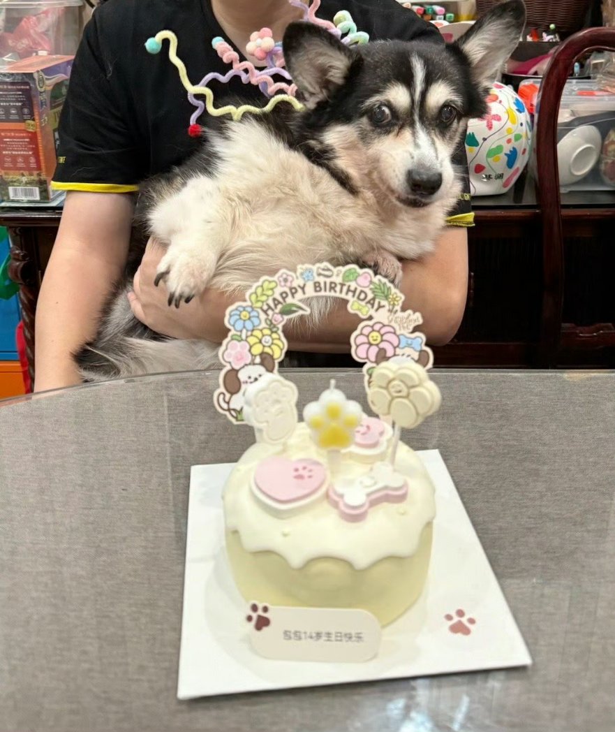 My girl will soon be 14