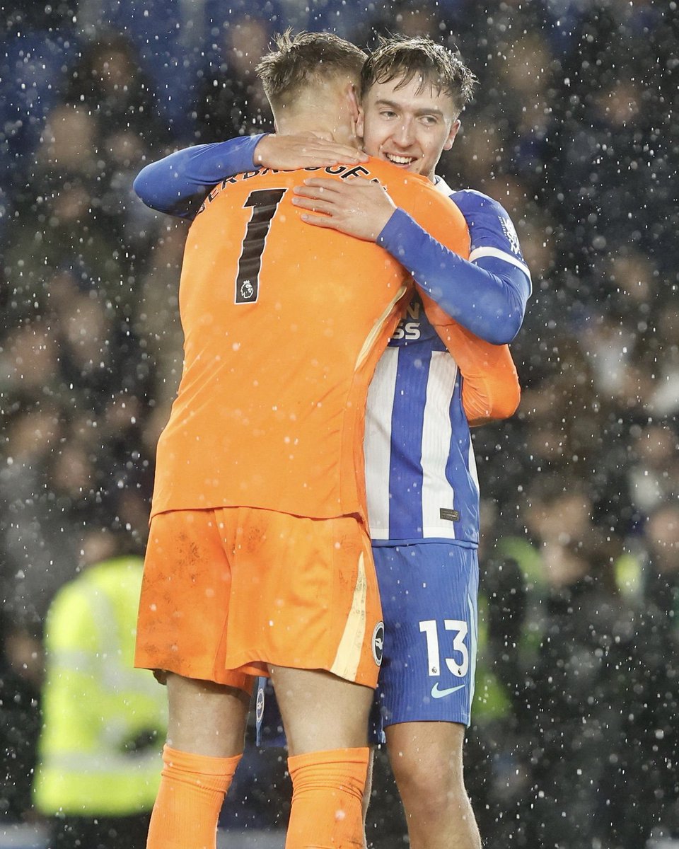 Good morning, Seagulls! 🤗