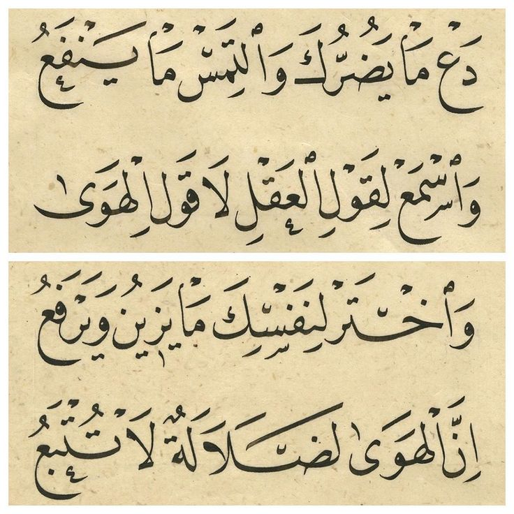 بيت شعر عربي كل يوم (@arabicpoet0) on Twitter photo 