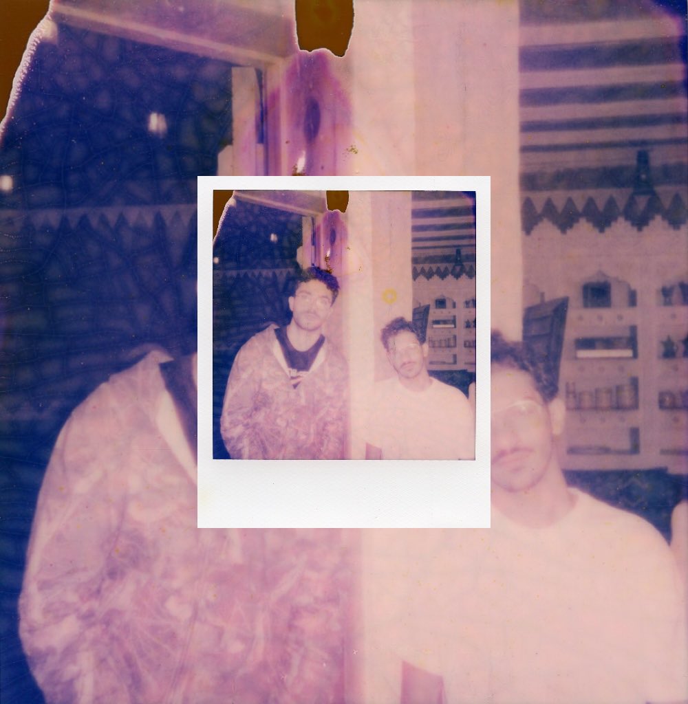 expired polaroid 600
