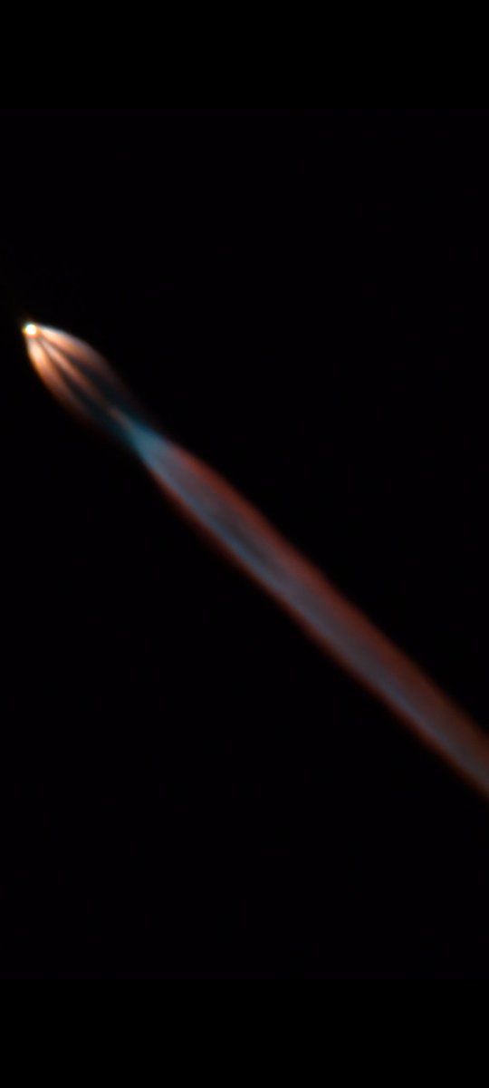 Kendrick MacKay tweet media