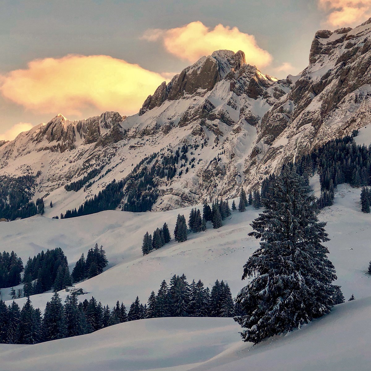 bergwelt_me's tweet image. Morgenstimmung auf der Schwägalp im #Alpstein.🤩

#Bergwelt #Schweiz #Schnee #Winterwonderland