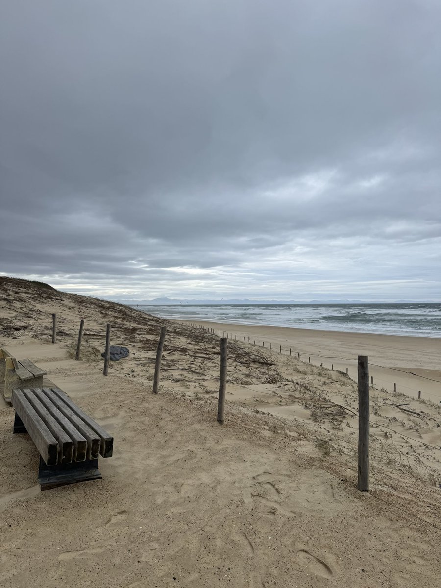 Día 10:

 La rutina se está arraigando poco a poco. Siento que "debo" hacerla a diario, lo que me facilita la motivación