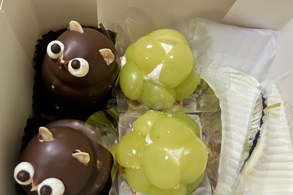 sho_neko_phn's tweet image. 今夜はお祝いするのだ🎂
りったん🍒
改めてHappy birthday 🎉 

#菅原りこ