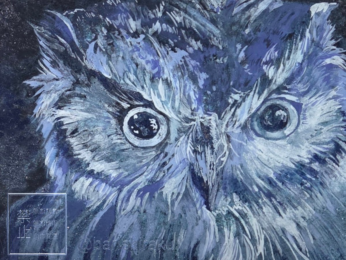 「あお」
#日本画 
#ふくろう 
#コノハズク