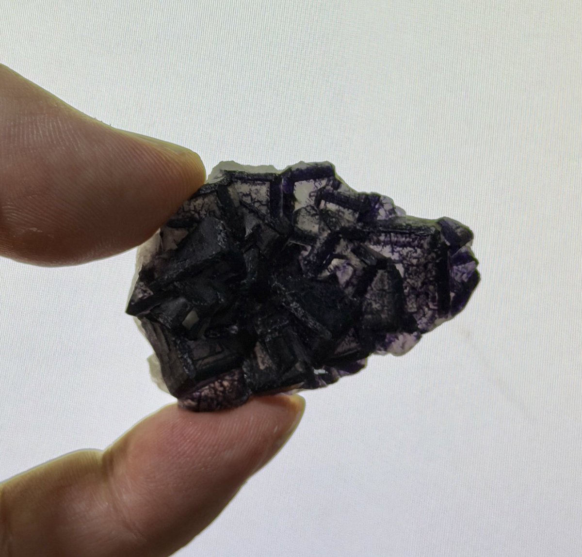 𝗔𝗻𝗸𝗼𝘂🐾 (@ank0u1) / Posts / X