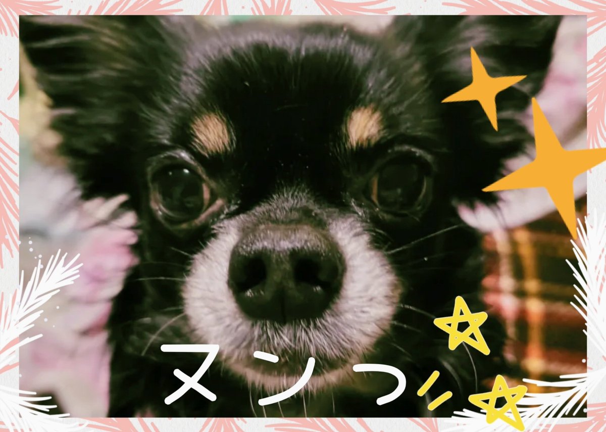 にこにこちゃん🪽☆🏛🤍🎄 (@f26sXrUP2U0cgaN) / Posts / X