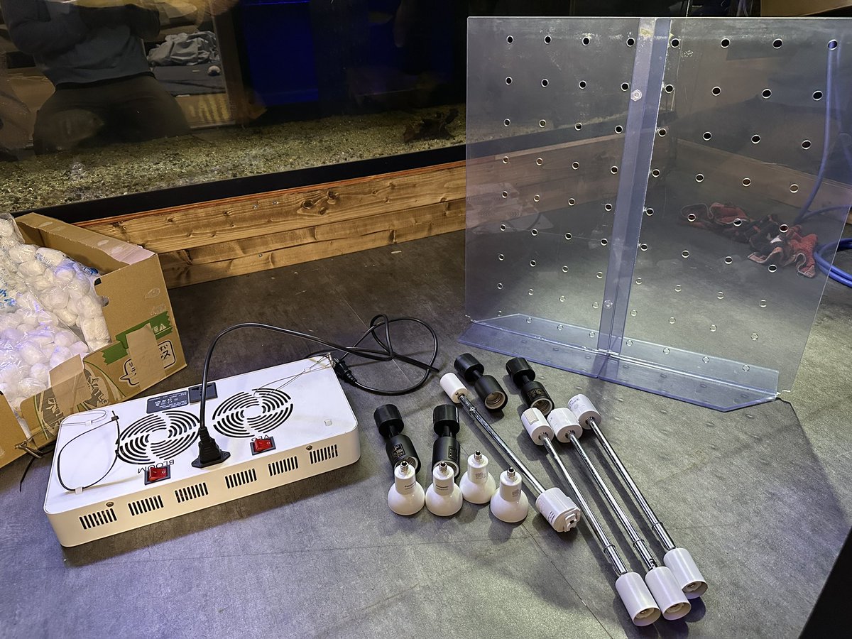 メリー花子 黒ギャル花子さん@96g875 から送っていただきました🙇‍♂️ とても親切