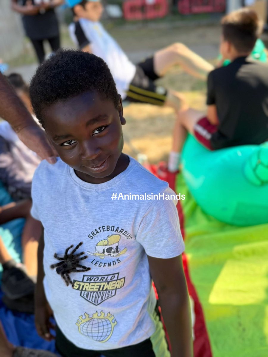 Fun, exciting, educational animal parties for children.

#AnimalManUK  #animalbirthdayparty #animalsinhandsuk #animalmanwestmidlands #animalencounteruk  #birthdaypartyideas
#animalsinhandsuk  #wildscience  #exoticzoo  #zootoyou #animalencountersuk animalsinhands.com