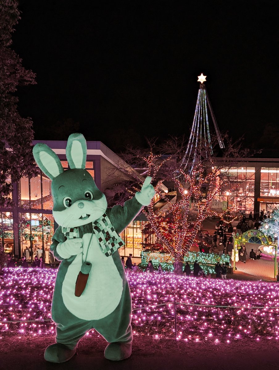 やどりぎ様 やどりぎ (@ydrgi) / Posts / X