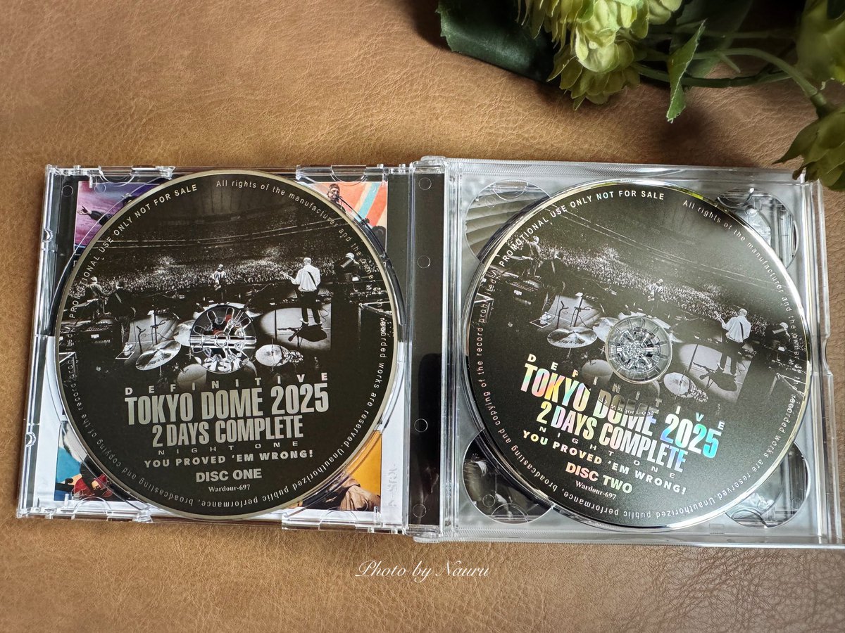 欲しかった oasis live '25 DEFINITIVE TOKYO DOME 2025 2DAYS