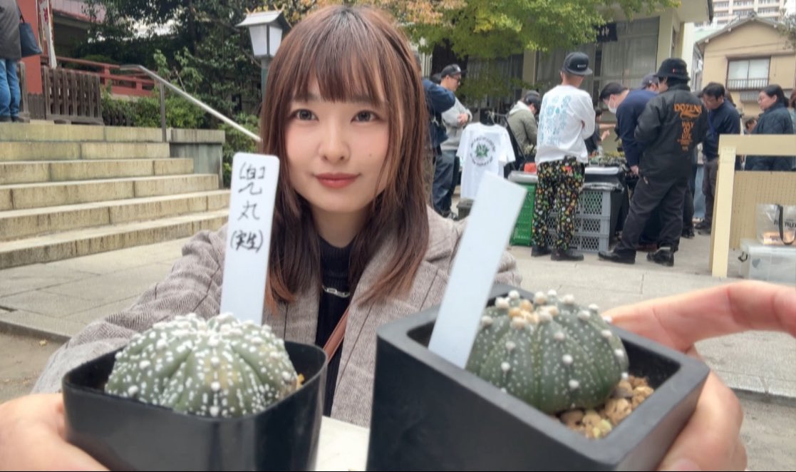 しーちゃん (@cotorich_ter) / Posts / X