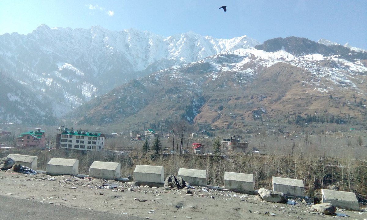 A rare moment from a moving car somewhere on the roads of  #Manali managed to capture a Himalayan Eagle soaring freely above the snowy peaks ..shot on a mobile camera but the view was  priceless..❤️❤️❤️
#NaturePhotography 
#MountainViews