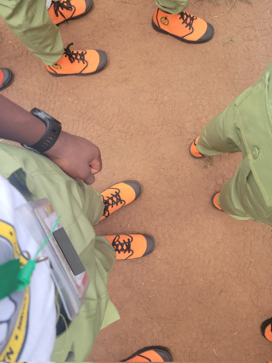 GIZMO_logic's tweet photo. Wasn’t easy, but we made it against all odds.
First graduate of the family and with a First Class degree in Biochemistry.
God did. 🙌
#Nysc #nyscbatchc https://t.co/pZZc8jpjNn