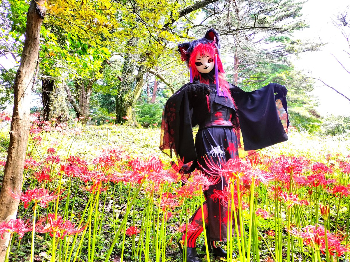 shigure_nyao's tweet image. #3連休はフォロワーさんが増えるらしい

30年以上生きた猫が変化した妖、『猫魈(ねこしょう)』の時雨(しぐれ)と申します😺🐾
猫としては長生きだけど妖怪としてはまだまだヒヨっ子🐤
人間さんも妖怪さんも人外さんも仲良くしてくれたら嬉しいです！✨✨

#徒然時雨
#創作妖怪