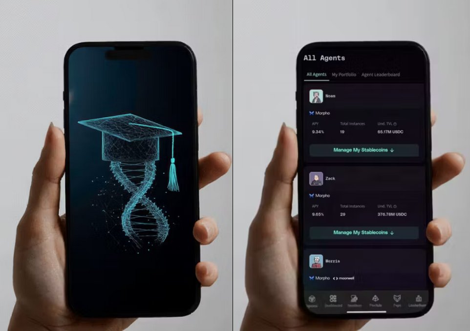 Have you tried Noam and Zach? 
No PhDs (as far as we know), but they deliver the highest returns on your stablecoins.