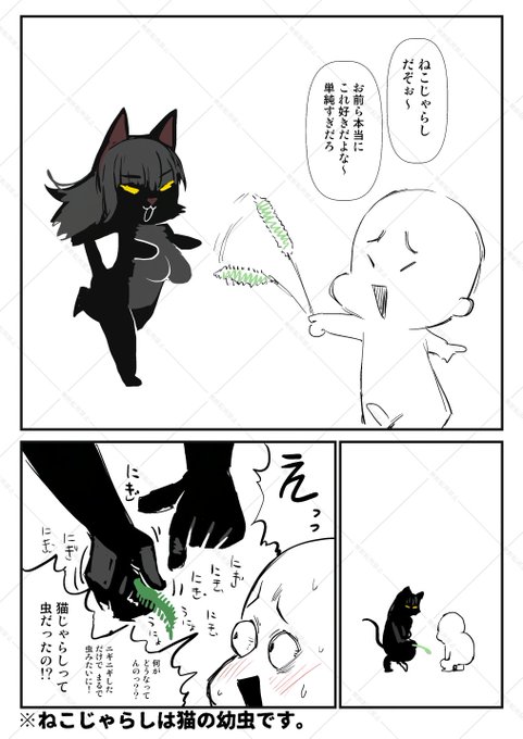 2025-11-23
新事実。 