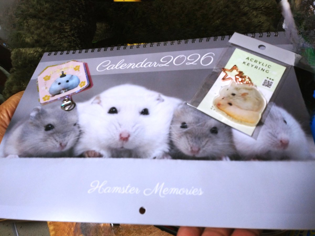 ⭐︎ジャンガリアンさん専用⭐︎ じゃんがりあんはむSTAR【ブリーダー】 (@shiromaru98) / Posts / X