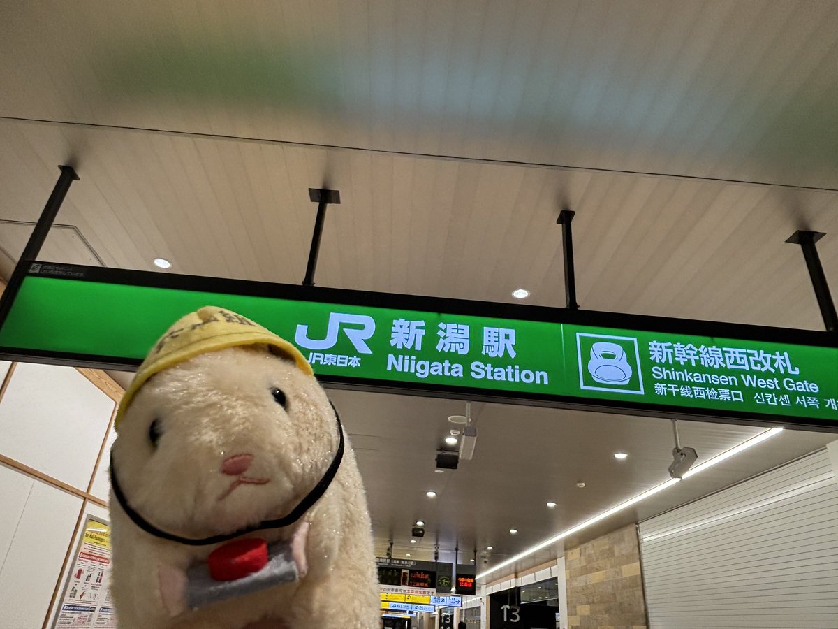 つっちー (@TMGEand913) / Posts / X