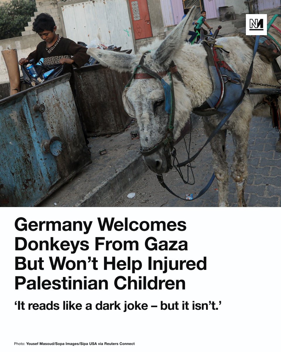 novaramedia's tweet image. Four donkeys taken from Gaza by an Israeli organisation have been rehomed at a zoo in Germany, in stark contrast to the country’s refusal to help children evacuated from the Strip.

Mayors in several German cities said in August that they are willing to treat sick, injured and…
