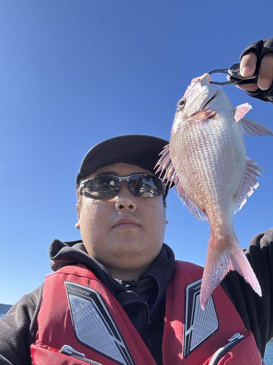 ヘダイ3匹とお初マダイくん？(鯛の見分けできん)
一応ショアレッドになるのかなぁ。
チャリコはいっぱい釣ってきたけど、これくらいのサイズとかは初めてだー
2日くらい寝かして刺身にしよ

この画角、顎肉が気になるなw
ダイエットするか

#釣果　#南伊勢町　#ふかせつり