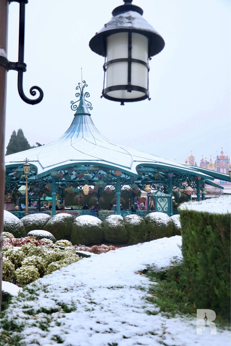 DLPReport's tweet image. ✨❄️✨