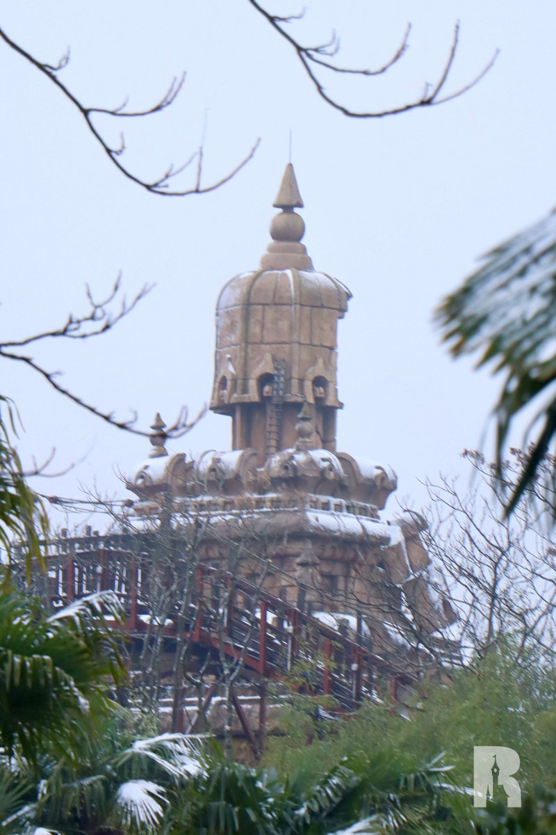 DLPReport's tweet image. ✨❄️✨