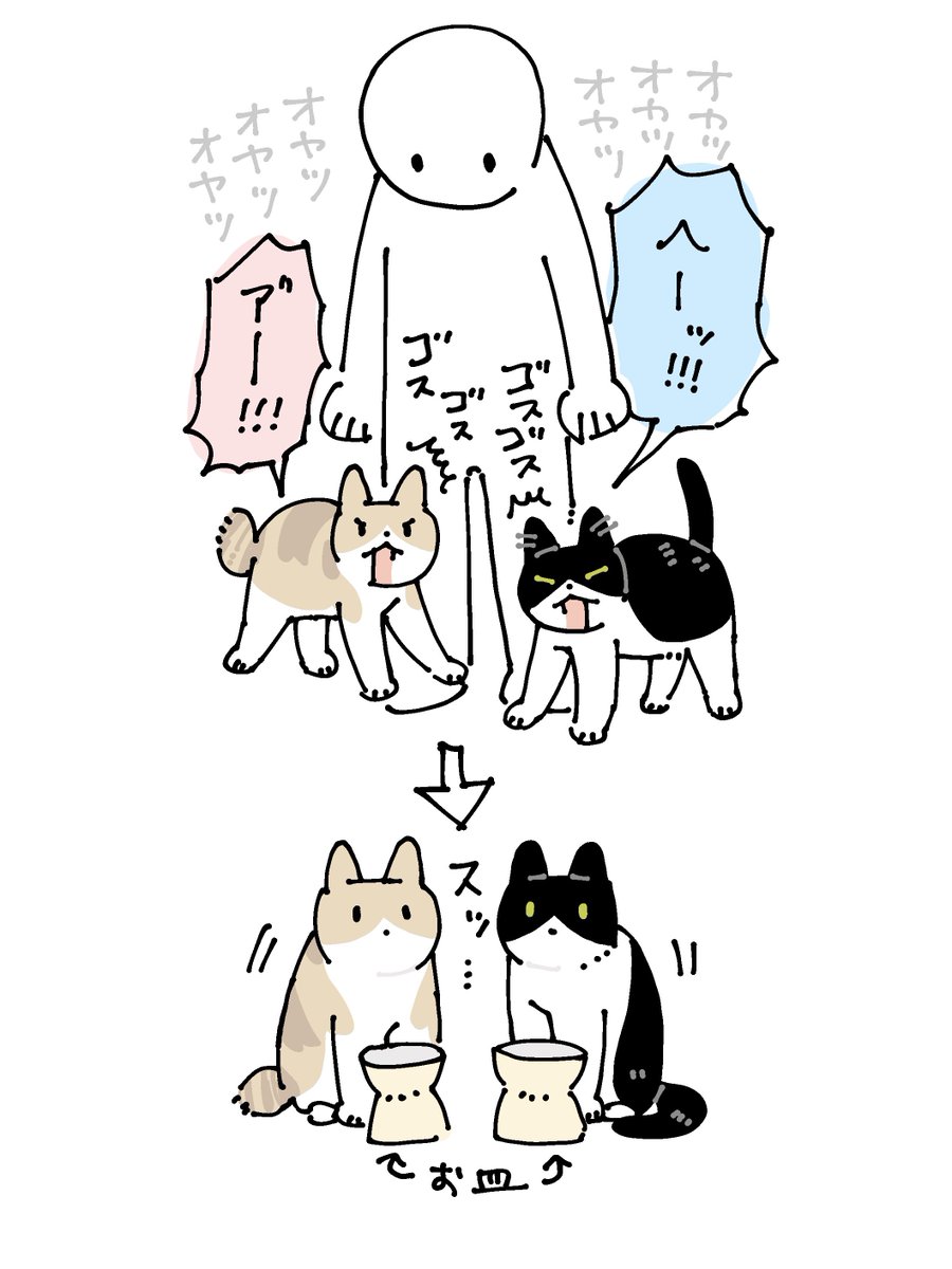 おさかな (@UW0T0T0) / Posts / X