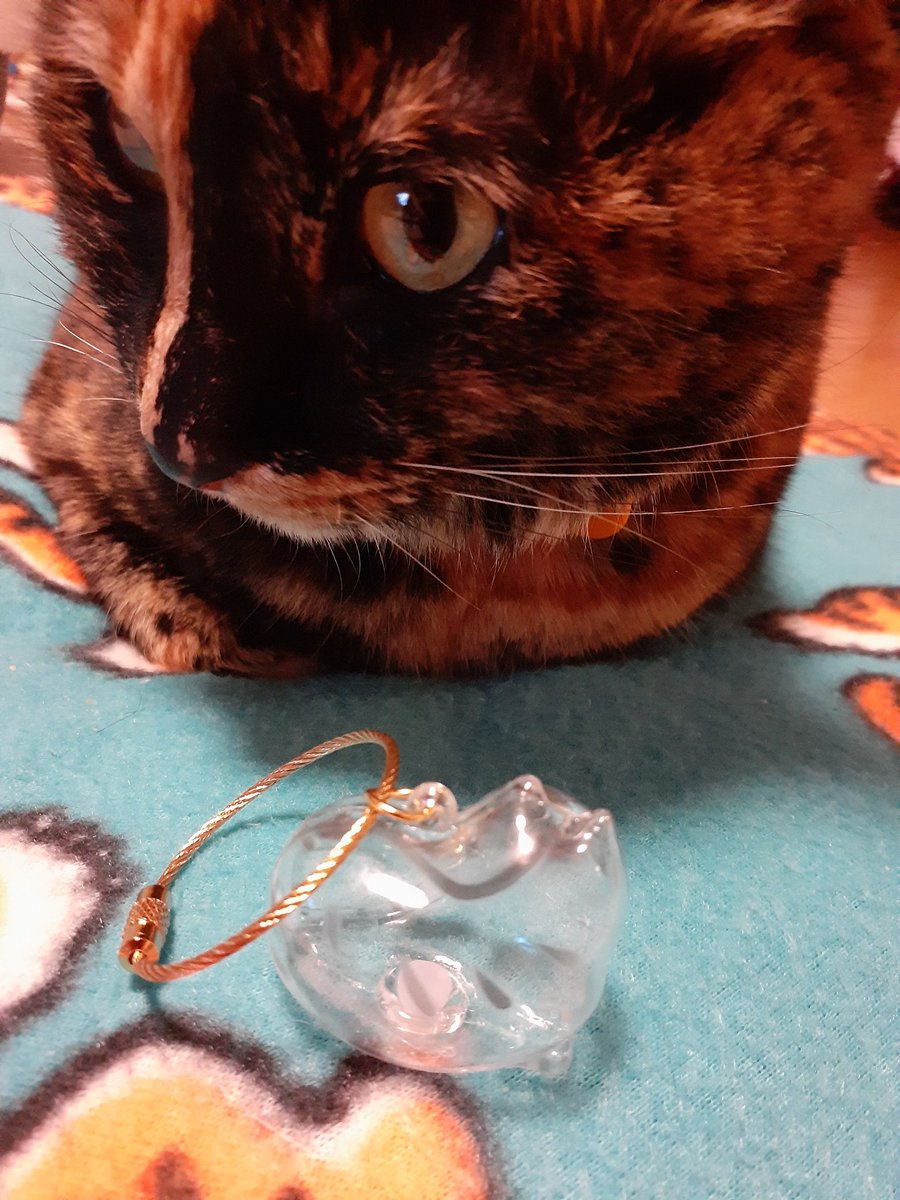 はるるん (@RNPrJ9xfX3PSoaA) / Posts / X