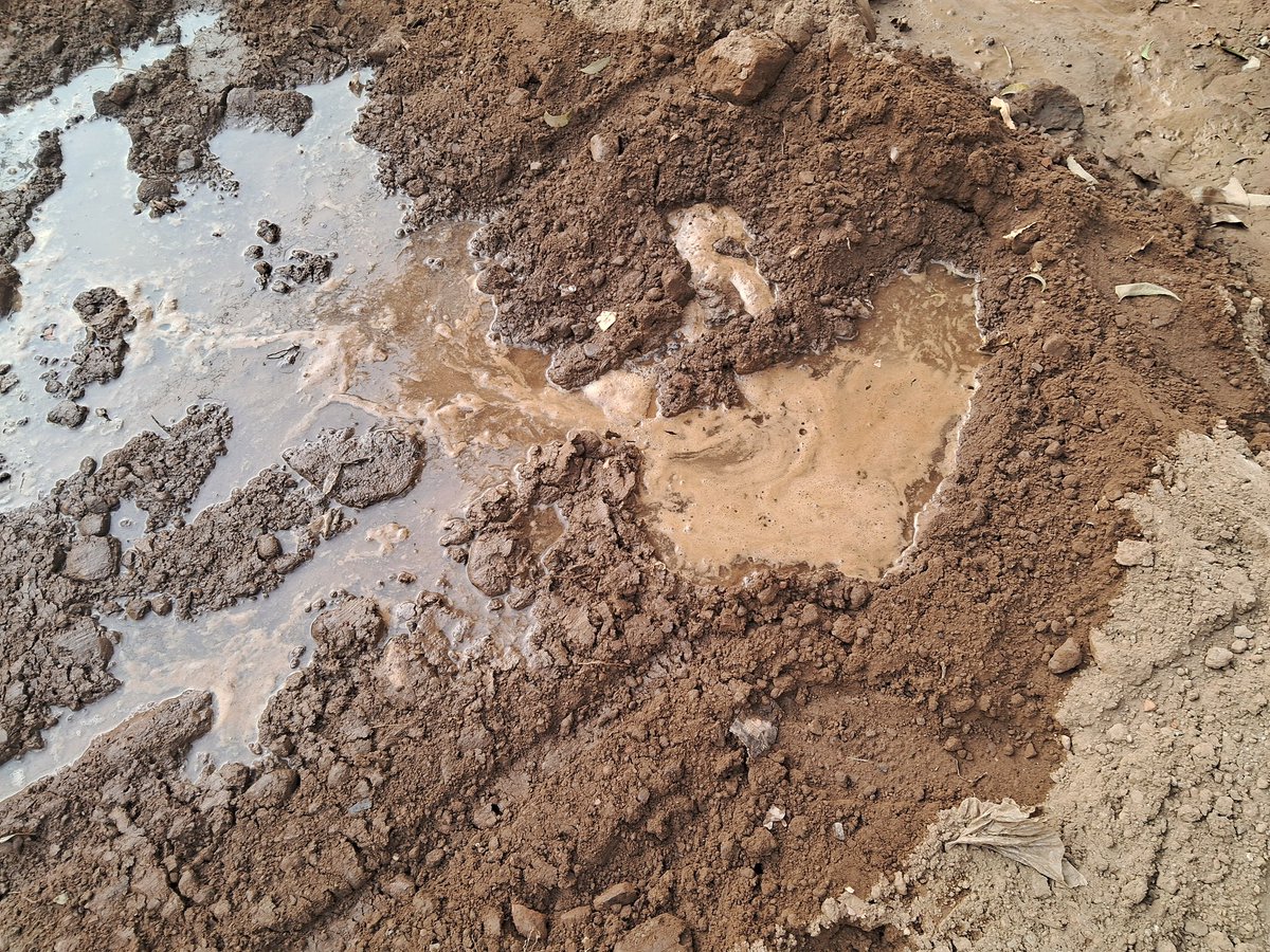 awasthi82's tweet photo. Ward 63 Meerut, Municipal work of road in progress, water pipeline broken by Nagar Nigam bulldozer.. Contractor not responding to this issue..@UPGovt @nsameerut @CMOfficeUP @DmMeerut @HarikantAhluwa1 @anujvashishtha2 @arungovil12 https://t.co/u2Si5p5kEv
