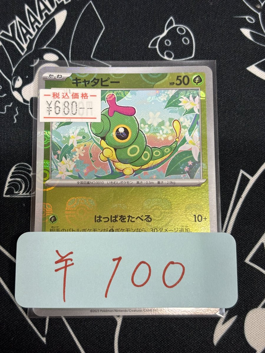 力トレア 花持ちと強い香りが良いイエローミディカトレア】Rlc.Waikiki Gold