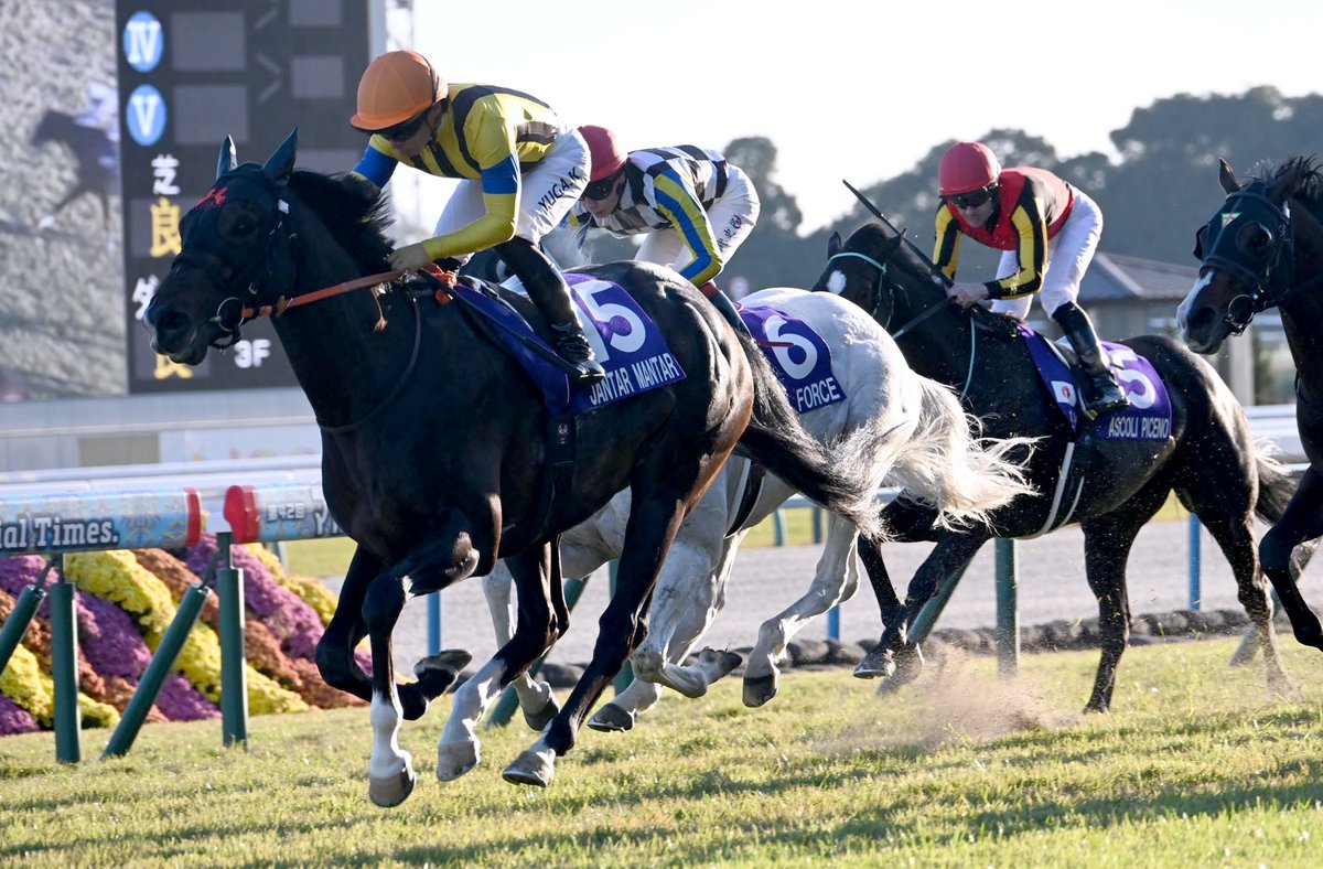 netkeiba's tweet image. 歴史塗り替える最強マイラーの走り
#ジャンタルマンタル
#川田将雅
#マイルCS
db.sp.netkeiba.com/horse/20211071…
