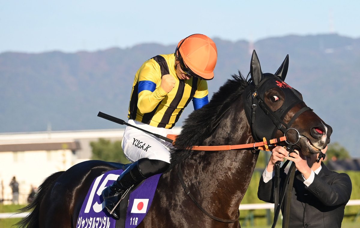 netkeiba's tweet image. 歴史塗り替える最強マイラーの走り
#ジャンタルマンタル
#川田将雅
#マイルCS
db.sp.netkeiba.com/horse/20211071…