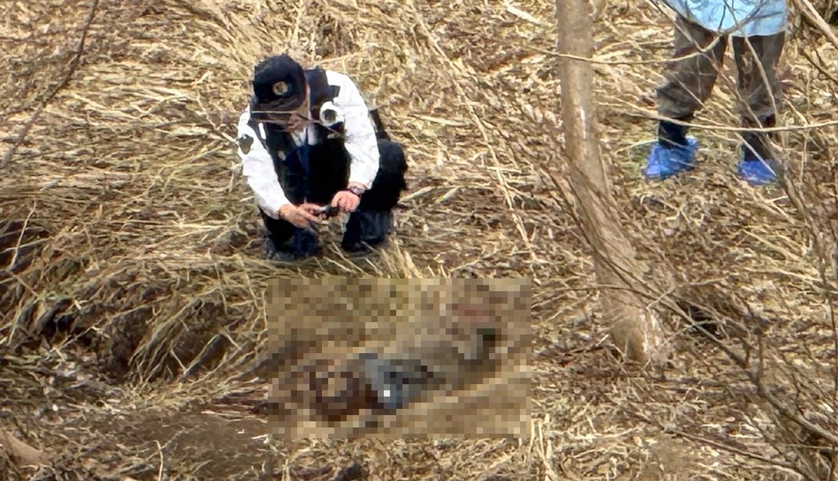 mst_hide's tweet image. 札幌市西区発寒川での事案との事。