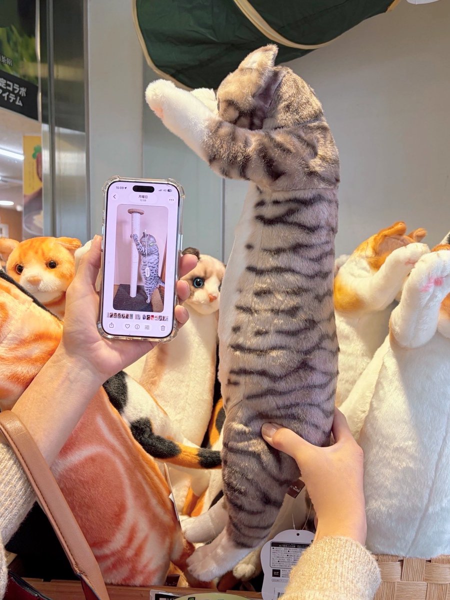 🍃🌷.*さいちゃん🌷.*🍃フォローしても外れてしまう不具合中です