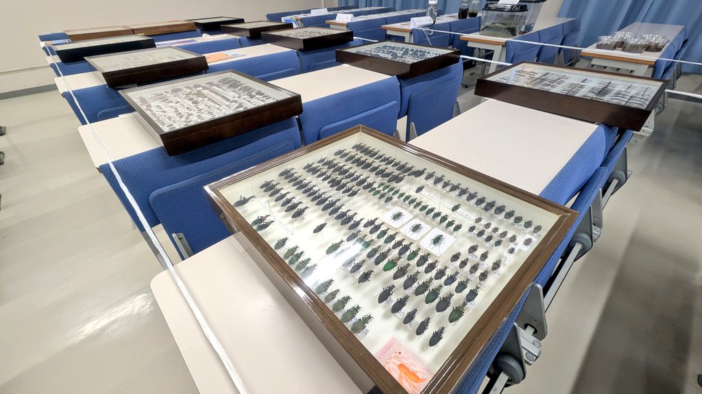 明日がNF最終日！
まだ展示を見に来られてない方は共東32まで！