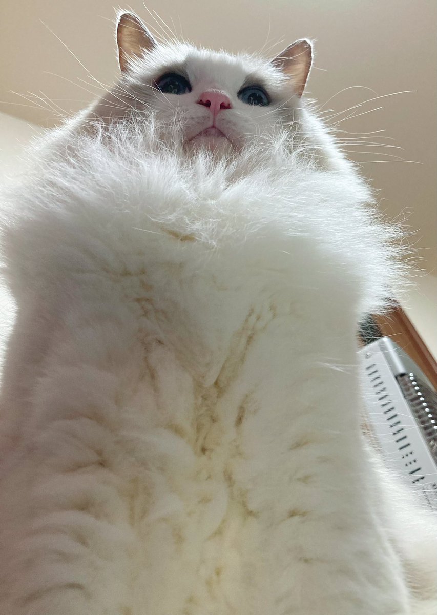 目覚めたか、ニンゲンよ…