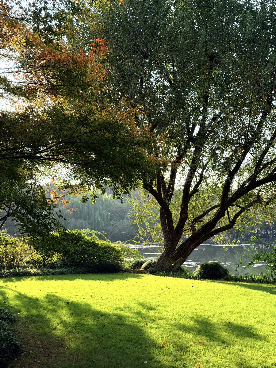 王老白 tweet media