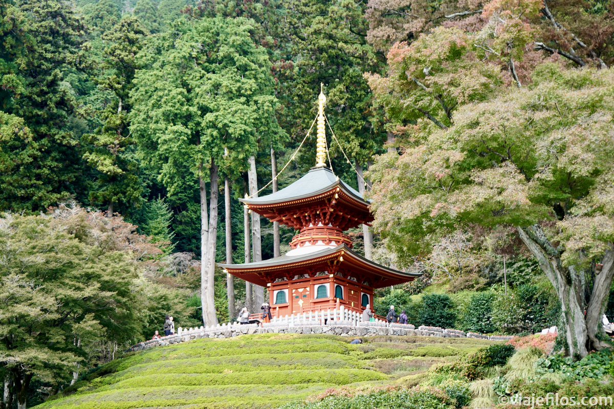 🆕 Pensabas que después de organizar este viajazo por Shikoku en #Japón no lo íbamos a compartir? 😂

Pues no: ahora somos absolutamente expertos en perdernos, conducir por la izquierda y cazar hojas rojas 🍁 a miles de km de casa 👉🏻 viajefilos.com/japon-por-libr…