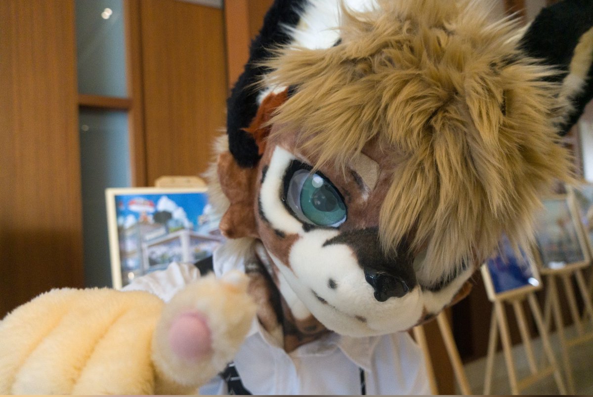 まろまーる！オリーブもいきます🐱

📷️: <a href="/Relop330/">雷人的雷洛普（雷超）</a> / 🪡: <a href="/AngusFox1027/">🦊_Angus</a>