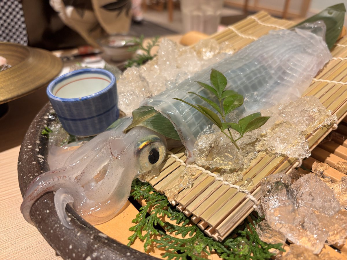 tommy1224vv's tweet image. イカこちら
生きていた🦑甘いｯｯｯｯ