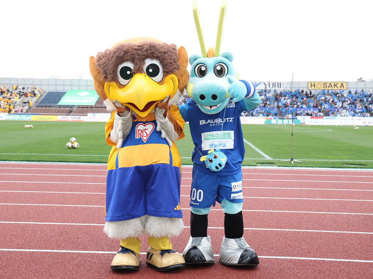 ベガッ太くんご来場ありがとうございます。

こやって並ぶとウチのゴンさん
かなりスリムでスタイル良いのね！

ブラウゴンは、アウェイ行かないだろうから
今日が最終戦かな？
今シーズンも全力応援お疲れ様でした！

#ブラウブリッツ秋田 
#ブラウゴン
#今日のゴンさん