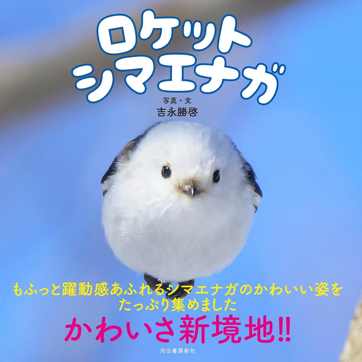 PR｜ご予約受付中！👏 ＼12月23日発売📖／ 🆕『ロケットシマエナガ