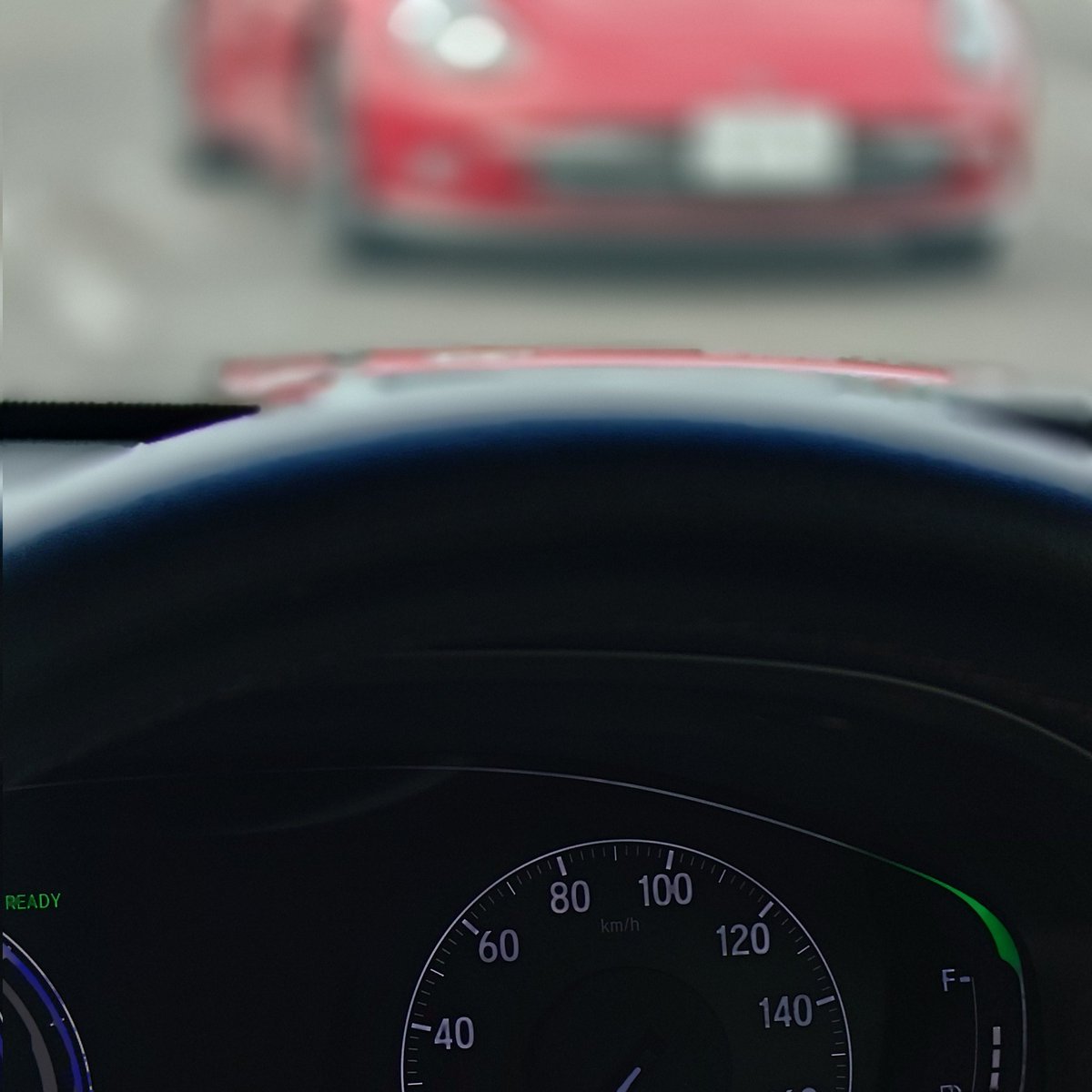 WASAMIK_OUCHEEE's tweet image. まさか実物の&quot;アレ&quot;と邂逅するとは
本当にいるんだねぇ